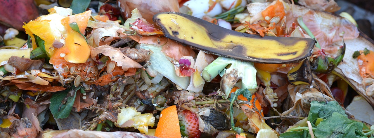 découvrez l'art du compostage, une méthode écologique et durable pour valoriser vos déchets organiques. transformez vos épluchures et résidus alimentaires en un enrichissant compost qui fertilisera votre jardin tout en réduisant votre production de déchets. apprenez les gestes simples pour un compostage réussi et participez à la préservation de l'environnement.