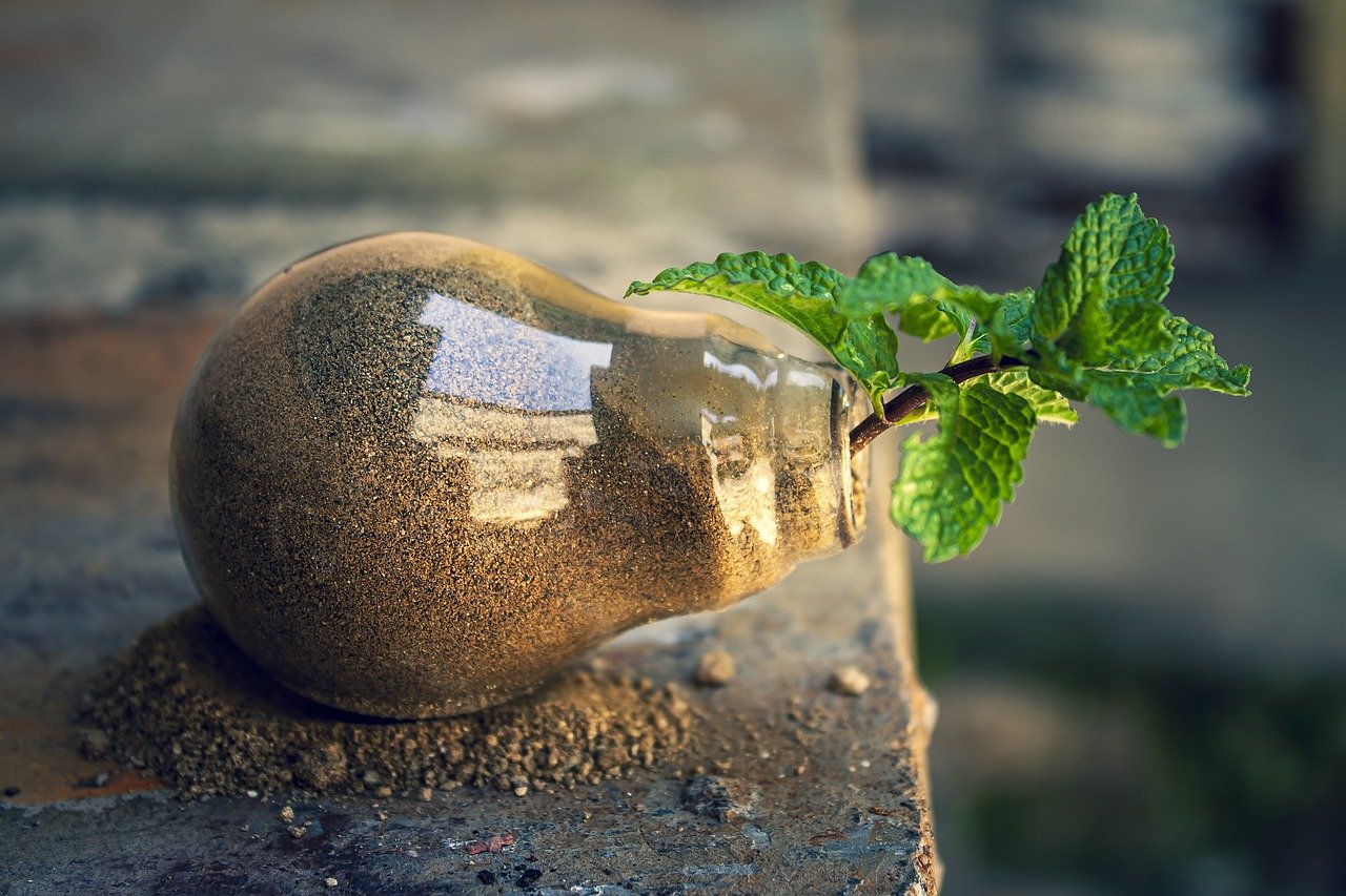 découvrez les enjeux environnementaux majeurs qui touchent notre planète aujourd'hui. apprenez comment les actions individuelles et collectives peuvent contribuer à la préservation de notre environnement pour les générations futures.