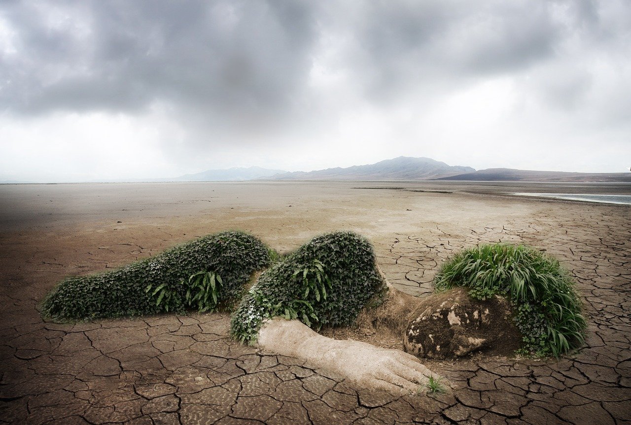 découvrez des initiatives environnementales locales qui visent à préserver notre planète. impliquez-vous dans des projets durables, soutenez votre communauté et apprenez comment vous pouvez faire la différence pour un avenir plus vert.