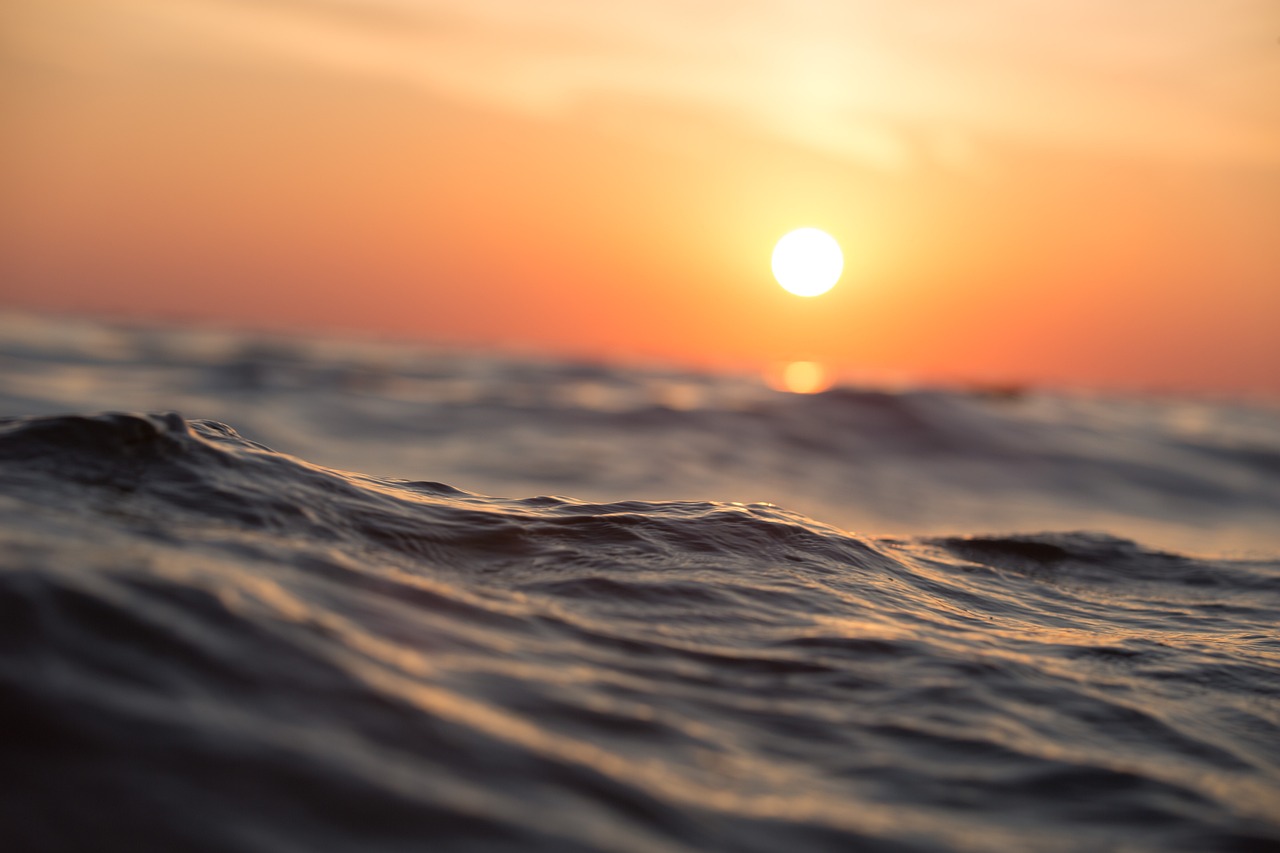 découvrez la beauté fascinante des océans : un monde mystérieux riche en biodiversité, d'époustouflants paysages marins et des aventures aquatiques inoubliables.