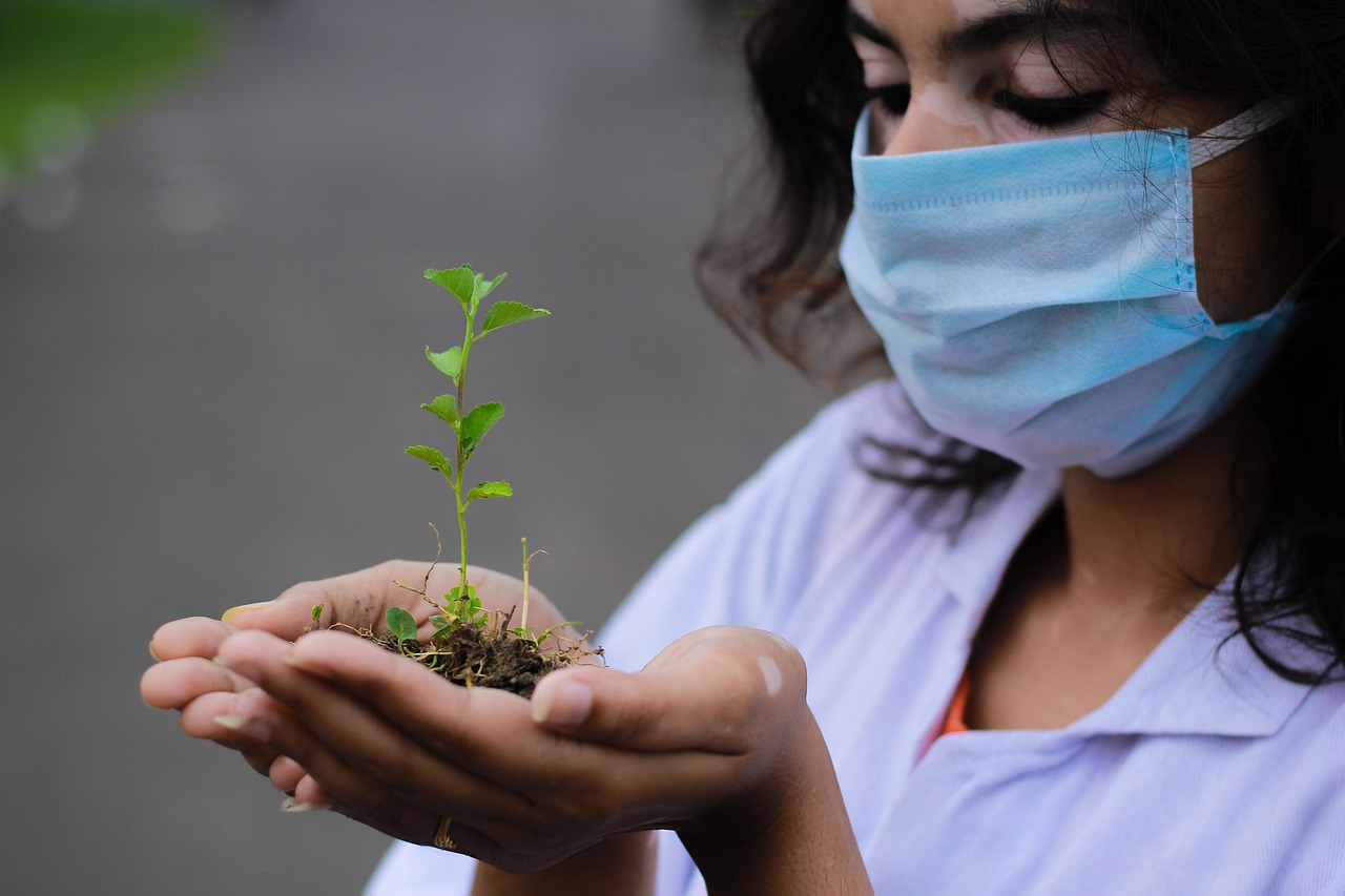 découvrez l'importance de la plantation d'arbres pour l'environnement et la biodiversité. apprenez comment participer à des initiatives de reforestation et contribuez à un avenir plus vert.