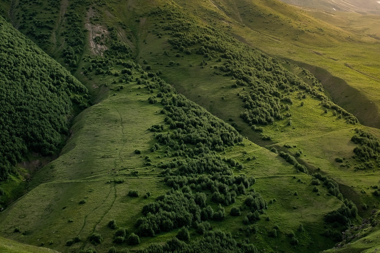 célébrez la journée de la terre en découvrant des actions concrètes pour protéger notre planète. engagez-vous à préserver la biodiversité et à promouvoir un mode de vie durable. rejoignez-nous pour un avenir plus vert!