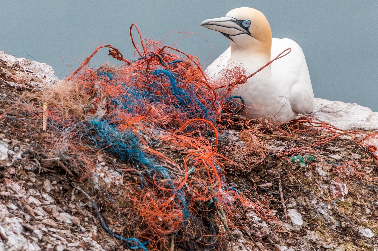 découvrez des stratégies efficaces pour réduire notre dépendance au plastique et adopter des alternatives durables. engagez-vous pour un futur plus écologique et sain en apprenant des solutions pratiques et des conseils pour diminuer votre utilisation de plastique au quotidien.