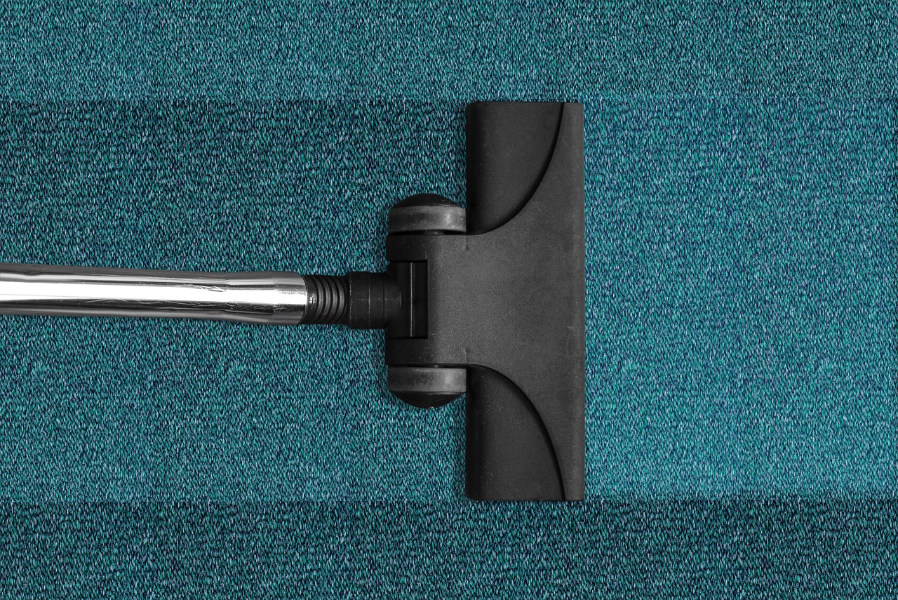 Mobilité propre : les solutions innovantes pour un avenir durable
