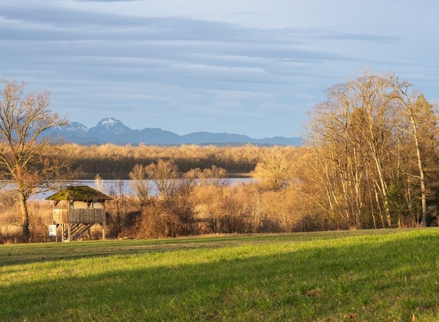 Zones protégées : Importance de la préservation de la biodiversité