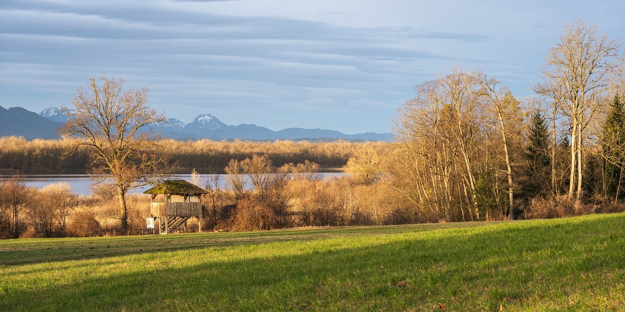 Zones protégées : Importance de la préservation de la biodiversité