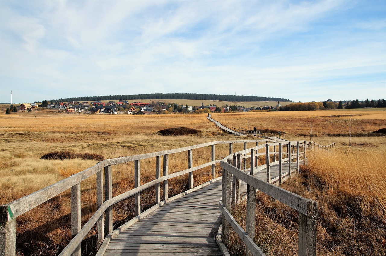 découvrez l'importance des zones protégées pour la préservation de la biodiversité et l'équilibre des écosystèmes. apprenez comment ces espaces vitaux contribuent à la conservation de la faune et de la flore, tout en offrant des opportunités d'éducation et de loisirs en pleine nature.