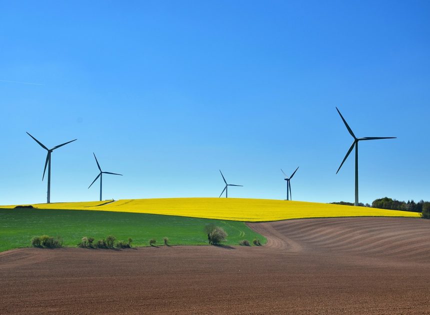Assolement durable : pratiques et avantages pour une agriculture respectueuse de l’environnement