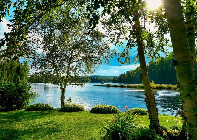 Biodiversité terrestre : enjeux et solutions pour un avenir durable