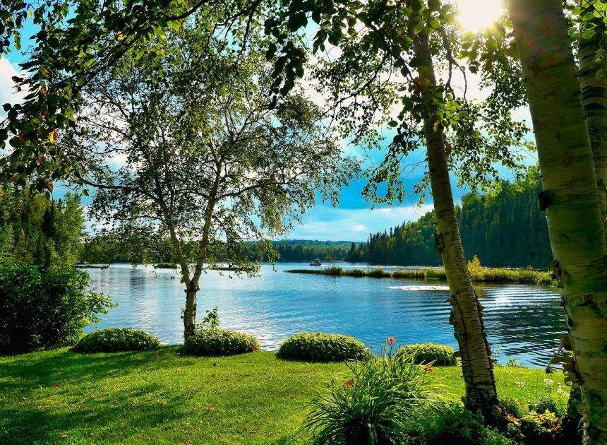 Biodiversité terrestre : enjeux et solutions pour un avenir durable