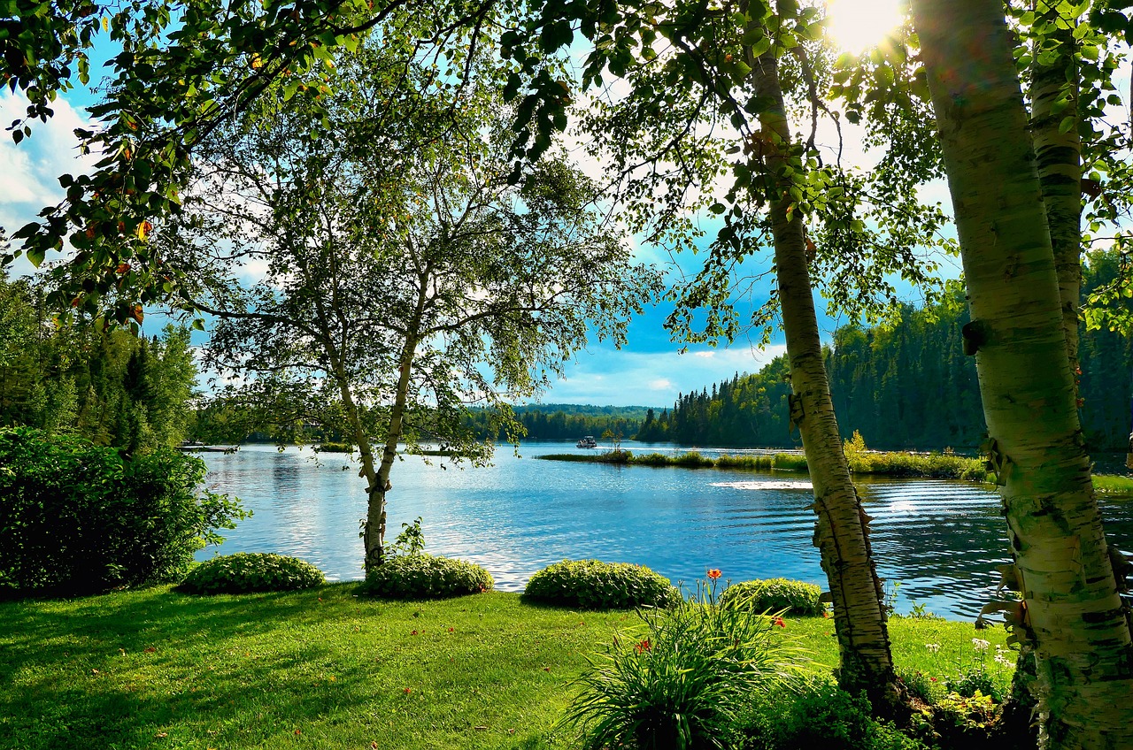 Biodiversité terrestre : enjeux et solutions pour un avenir durable