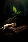 découvrez l'énergie provenant de la biomasse, une alternative durable et renouvelable aux combustibles fossiles. apprenez comment cette ressource naturelle contribue à réduire notre empreinte carbone tout en fournissant une source de chaleur et d'électricité.