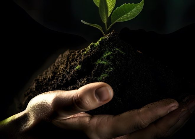 Biomasse : une alternative durable pour la production d’énergie