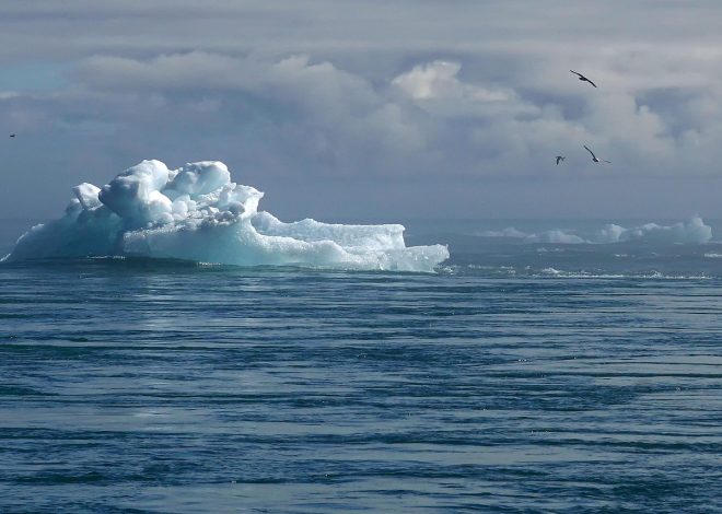 Climat en péril : le Tribunal international du droit de la mer rappelle aux États leur obligation d’agir