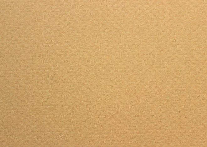 Culture écologique : comprendre son impact sur notre quotidien