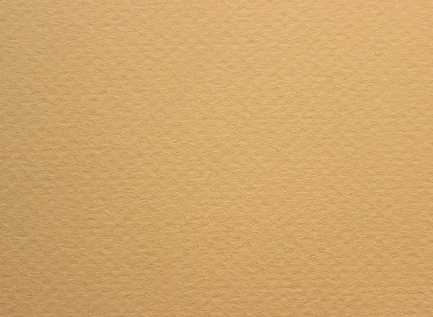 Culture écologique : comprendre son impact sur notre quotidien