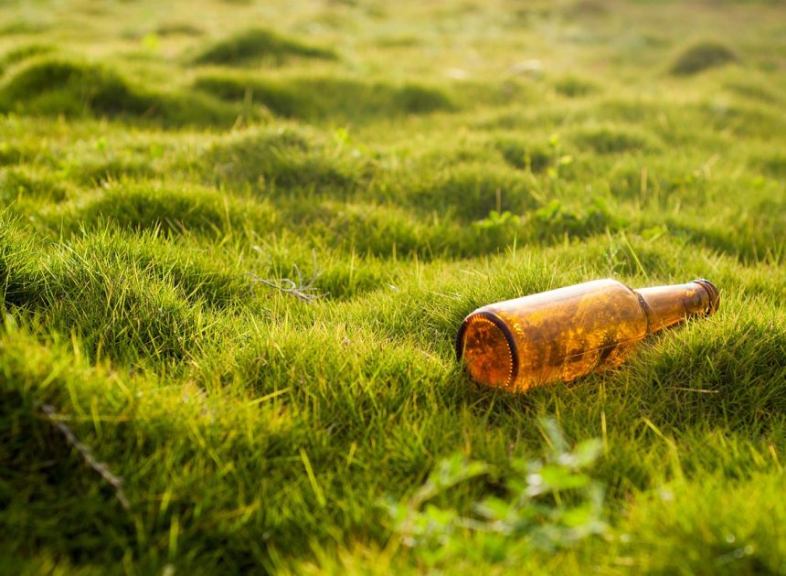 Gouvernance environnementale : Les enjeux clés pour un développement durable