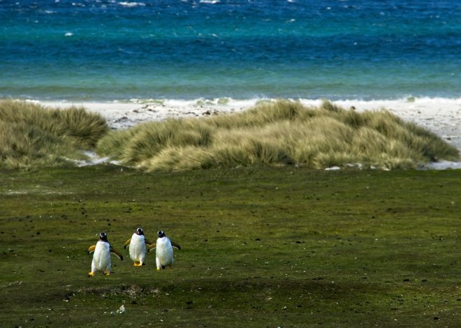 Habitats naturels : découvrez leur importance pour la biodiversité