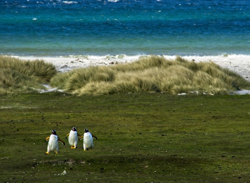 Habitats naturels : découvrez leur importance pour la biodiversité