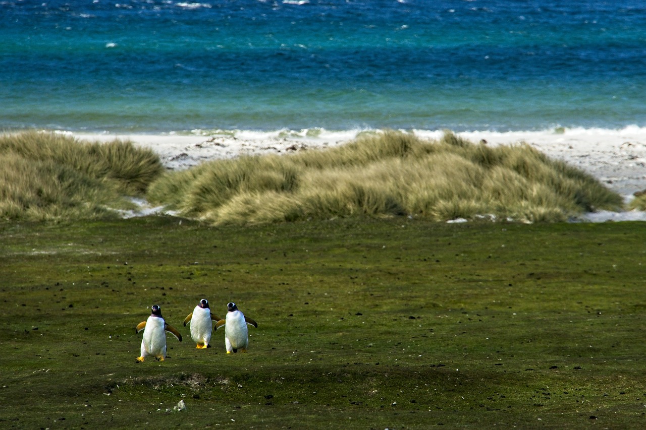 Habitats naturels : découvrez leur importance pour la biodiversité