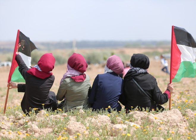 La guerre à Gaza : un impact dévastateur sur les vies humaines et l’environnement