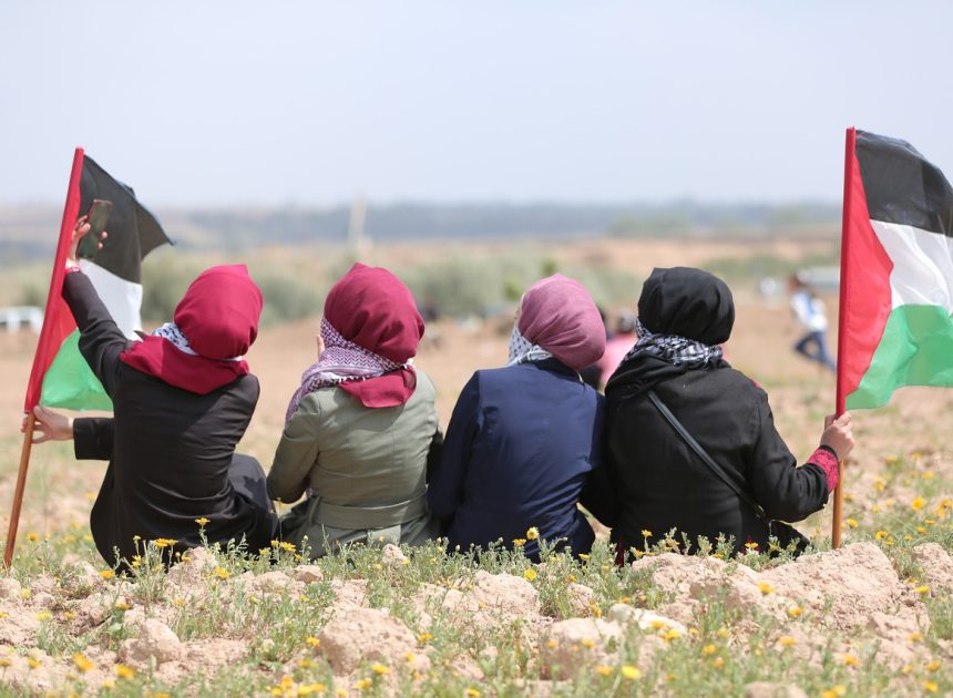 La guerre à Gaza : un impact dévastateur sur les vies humaines et l’environnement