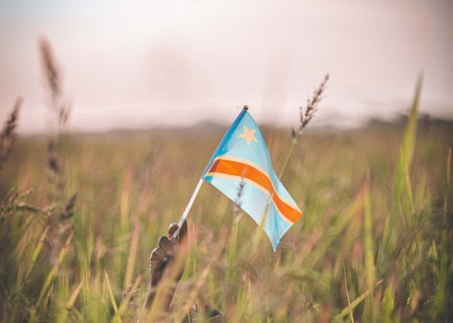La protection de la forêt du bassin du Congo : un enjeu crucial pour l’Afrique et la planète