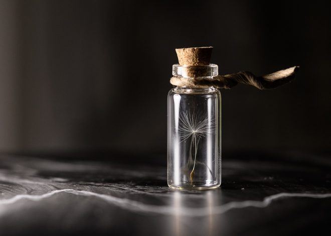 Préservation de l’eau : étapes essentielles pour protéger cette ressource précieuse