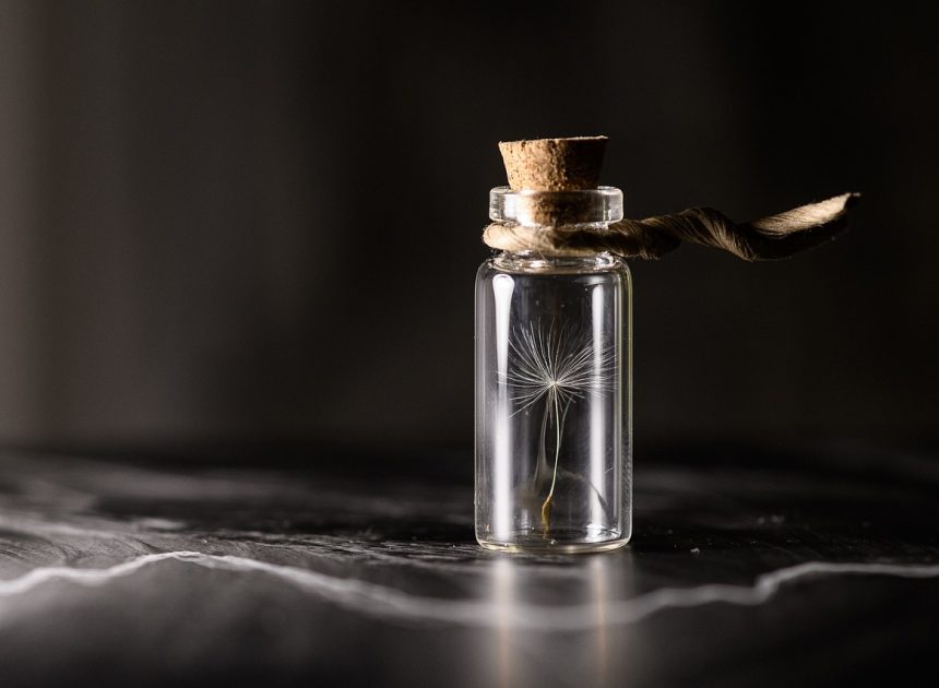 Préservation de l’eau : étapes essentielles pour protéger cette ressource précieuse