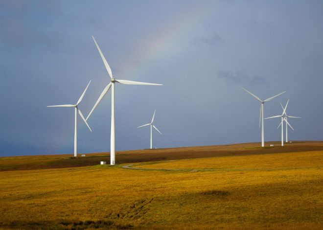 Produits durables : Comment choisir des options respectueuses de l’environnement