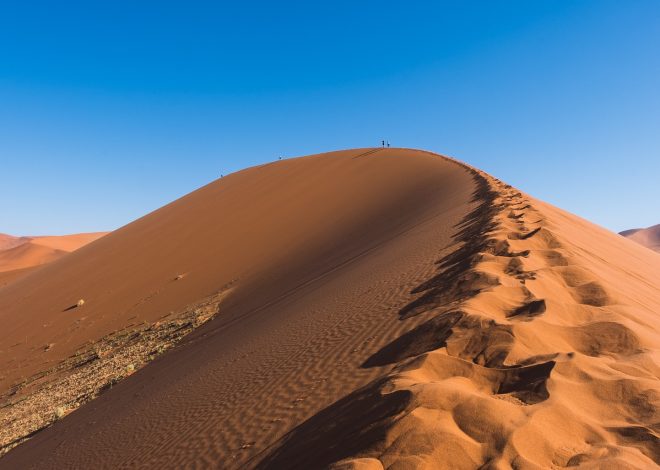 Recherche sur le climat : nouvelles découvertes pour comprendre les changements globaux