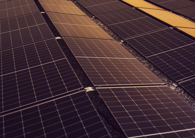 Soutien aux énergies renouvelables : Pourquoi il est crucial pour notre avenir énergétique