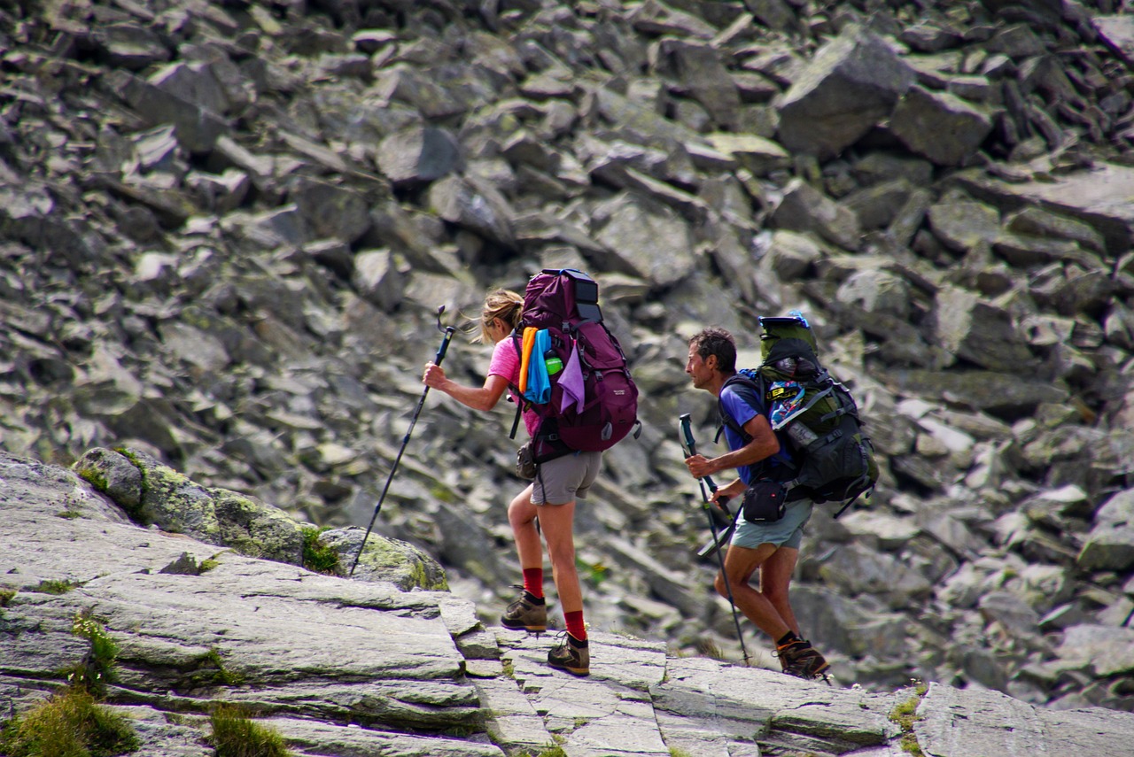 découvrez notre engagement climatique : des initiatives innovantes pour protéger notre planète et promouvoir un avenir durable. rejoignez notre mission pour un monde meilleur.