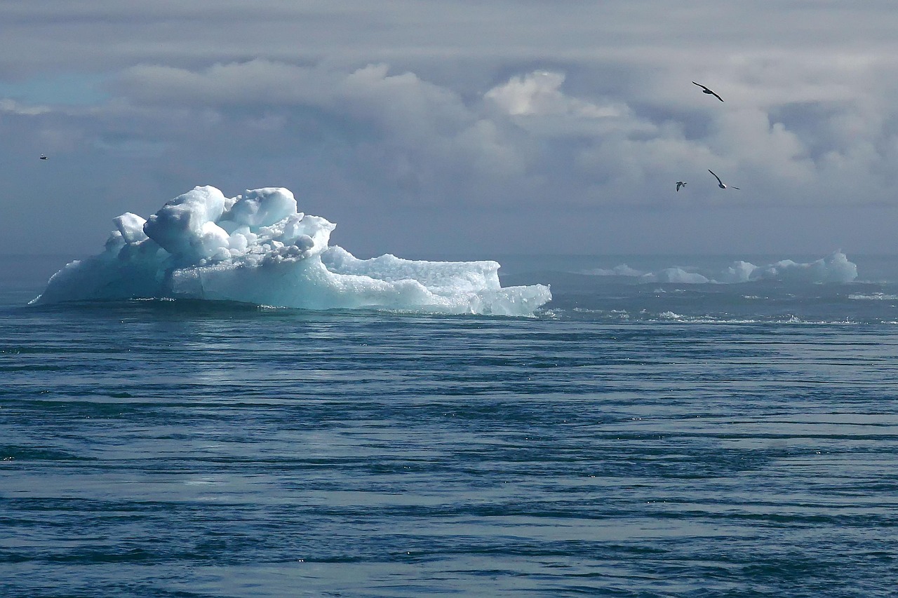 découvrez le climate observatory, une plateforme dédiée à l'étude et à la surveillance des changements climatiques. restez informé des dernières recherches, initiatives et solutions pour lutter contre le réchauffement climatique et préserver notre planète pour les générations futures.