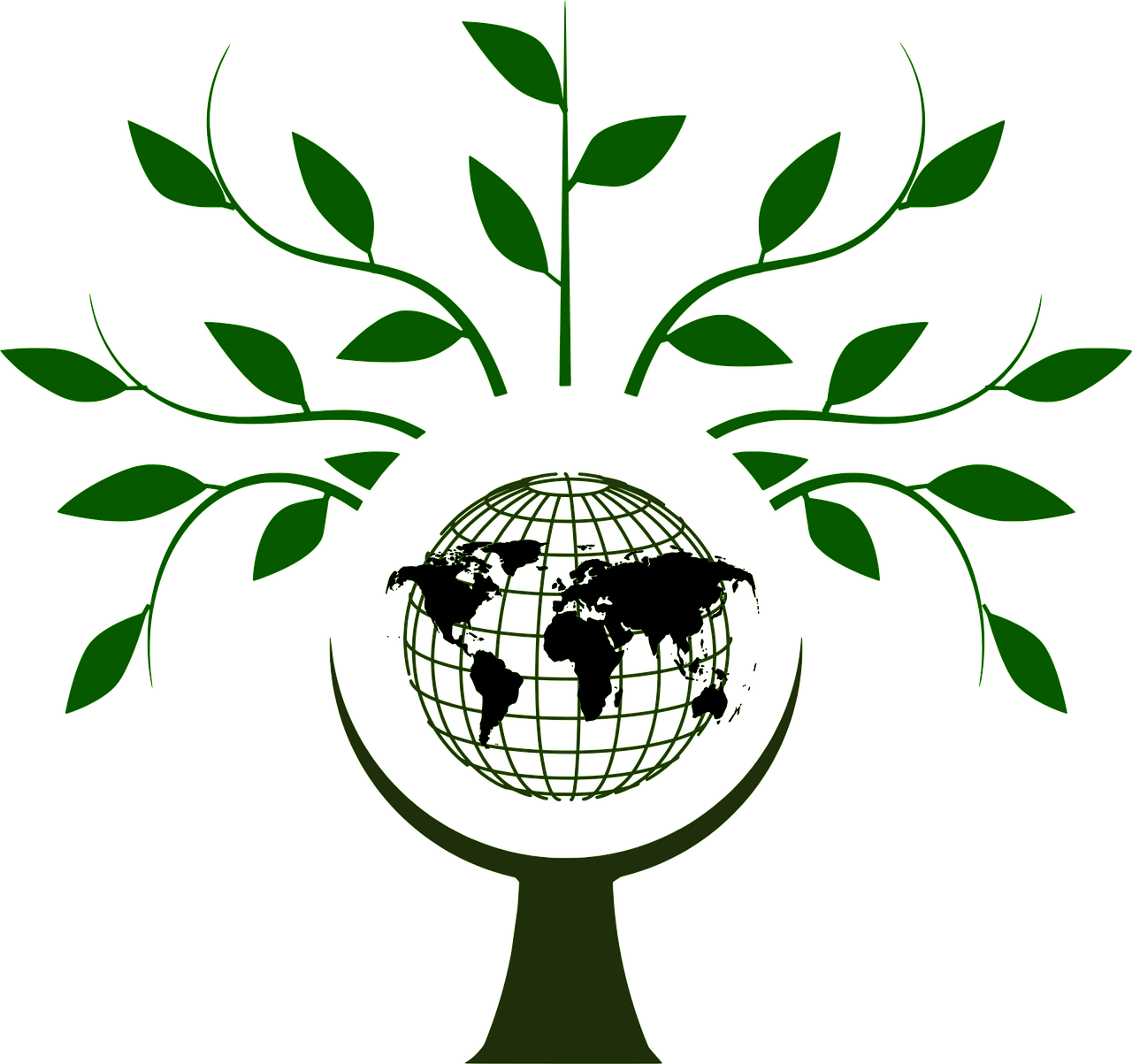 découvrez l'importance de la conservation pour préserver notre environnement et la biodiversité. apprenez des pratiques durables pour protéger les ressources naturelles et garantir un avenir meilleur pour les générations futures.