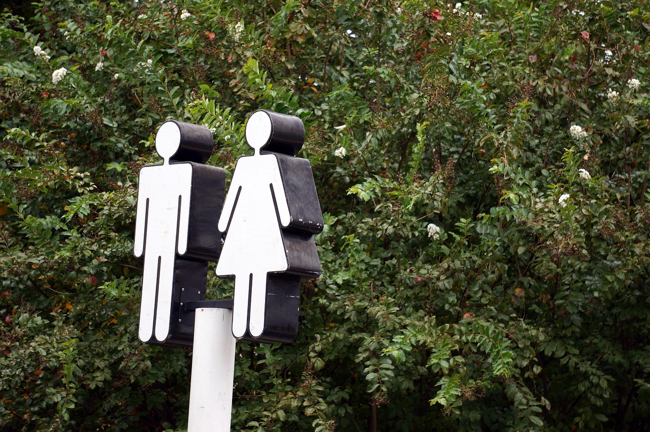 découvrez l'inégalité de genre, un enjeu majeur qui impacte des millions de vies à travers le monde. explorez les causes, les conséquences et les solutions pour promouvoir l'égalité des sexes dans tous les aspects de la société.