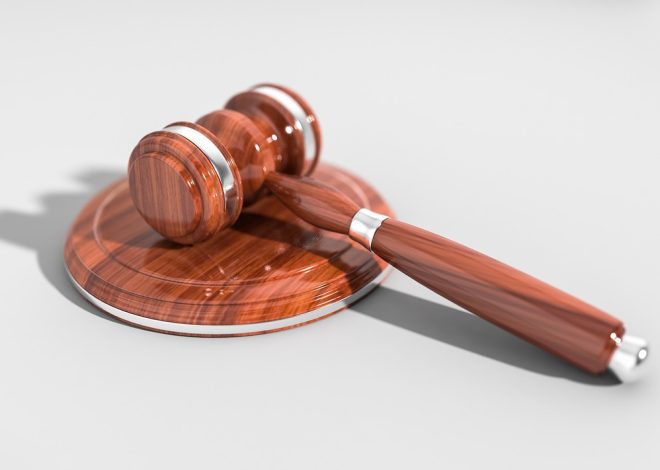 la justice transformatrice au service du financement de la conservation : un revenu de base pour la nature et le climat (BINC