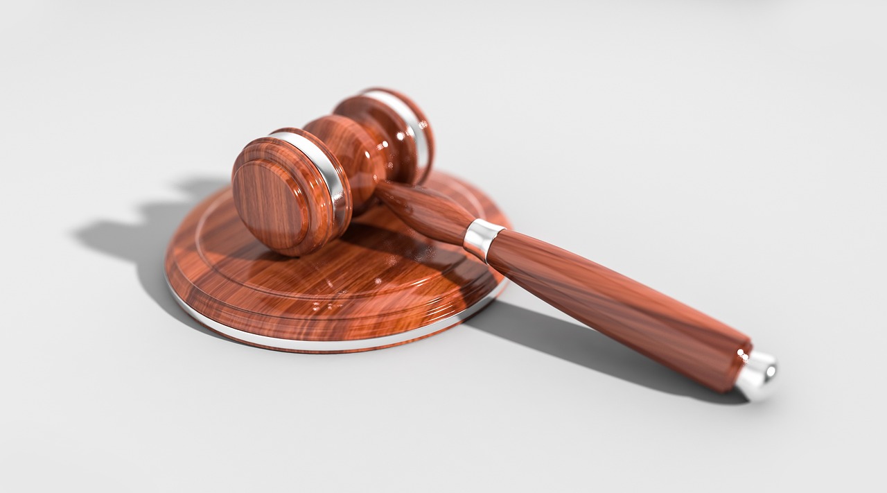 la justice transformatrice au service du financement de la conservation : un revenu de base pour la nature et le climat (BINC