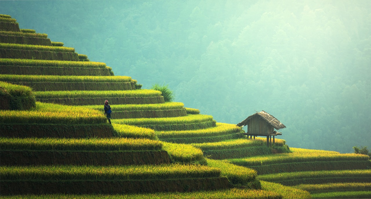 découvrez comment les communautés durables façonnent un avenir écologique grâce à des pratiques respectueuses de l'environnement, une économie locale florissante et un engagement communautaire fort. explorez des initiatives inspirantes qui favorisent le bien-être et la solidarité.