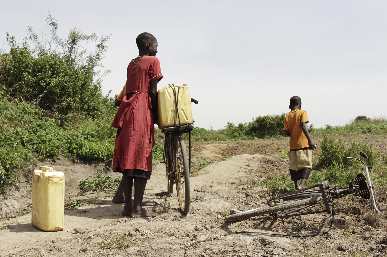 explorez l'importance et la gestion des ressources en eau, essentielles pour la vie et le développement durable. découvrez les enjeux environnementaux, technologiques et sociétaux liés à cette précieuse ressource.