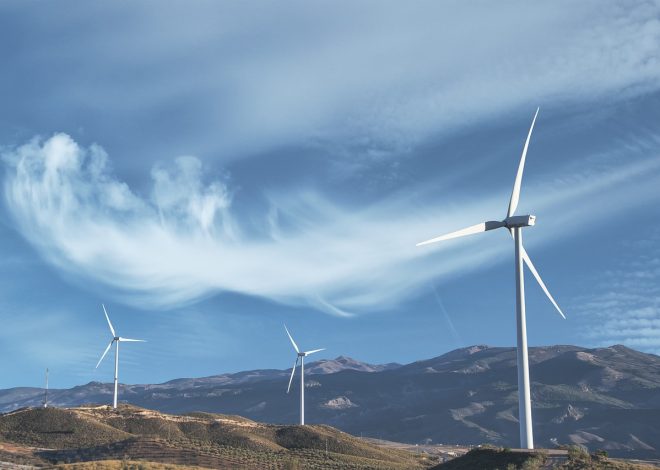 Amazon introduce le label « Climate Pledge Friendly » en Europe pour faciliter l’accès à des produits durables certifiés
