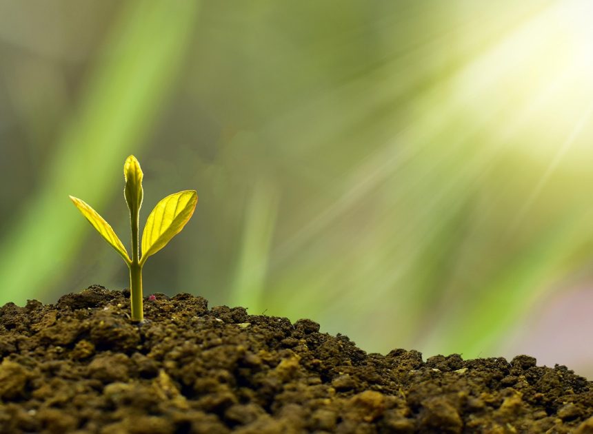 Indicateurs de durabilité : Mesurer l’impact environnemental des entreprises