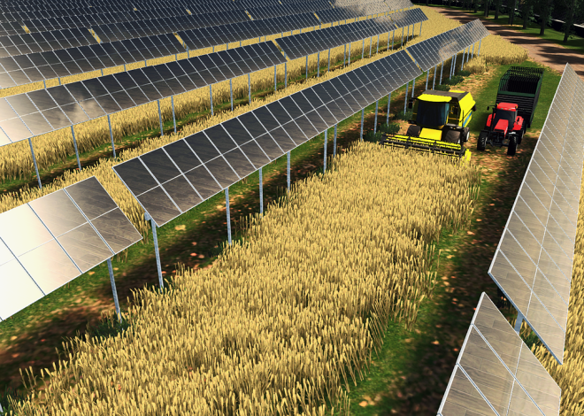 L’agrivoltaïsme décrypté : tout ce qu’il faut savoir sur le cadre juridique après le décret du 8 avril 2024 concernant les installations agrivoltaïques et agricompatibles