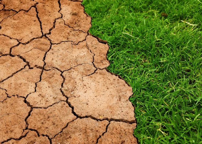 Lutte contre la désertification : Solutions innovantes pour préserver nos terres