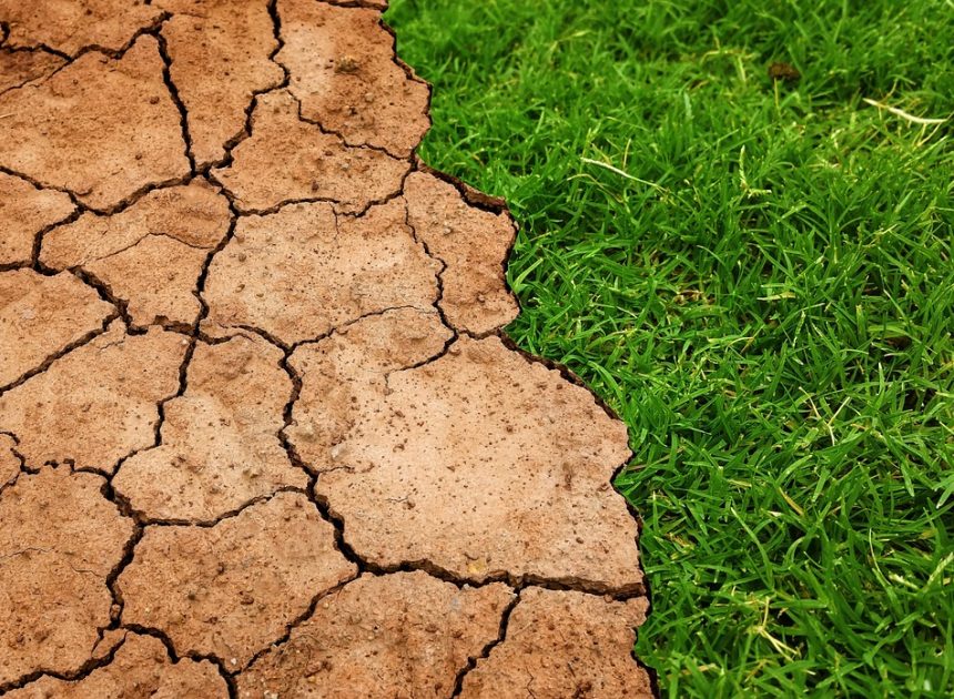 Lutte contre la désertification : Solutions innovantes pour préserver nos terres