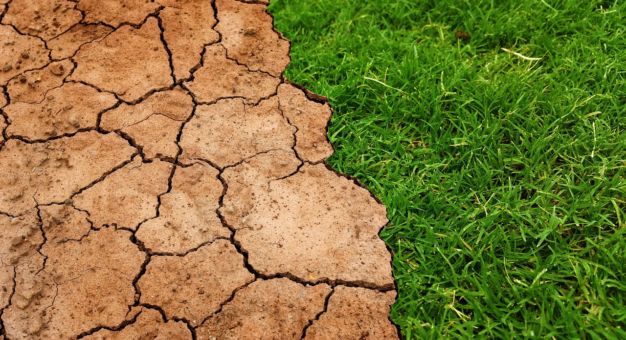 Lutte contre la désertification : Solutions innovantes pour préserver nos terres