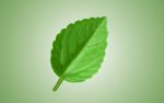 découvrez notre meuble éco-responsable alliant design moderne et respect de l'environnement. fabriqués à partir de matériaux durables, nos meubles éco-friendly sont idéaux pour un intérieur stylish et écologique.