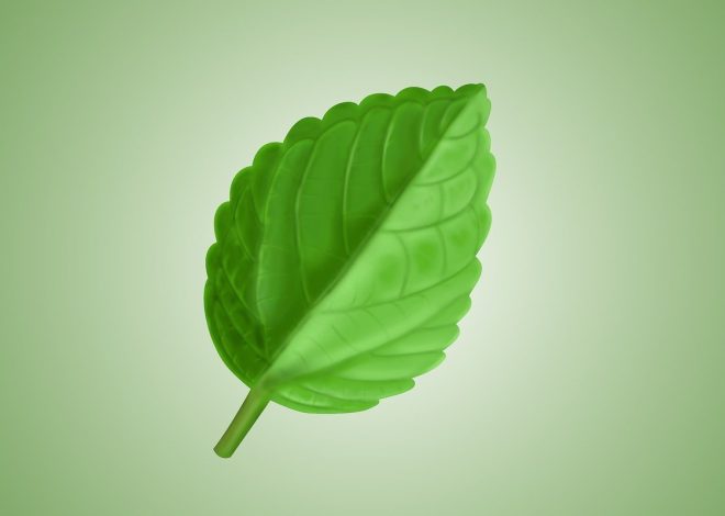 Mobilier écologique : une sélection durable pour votre intérieur