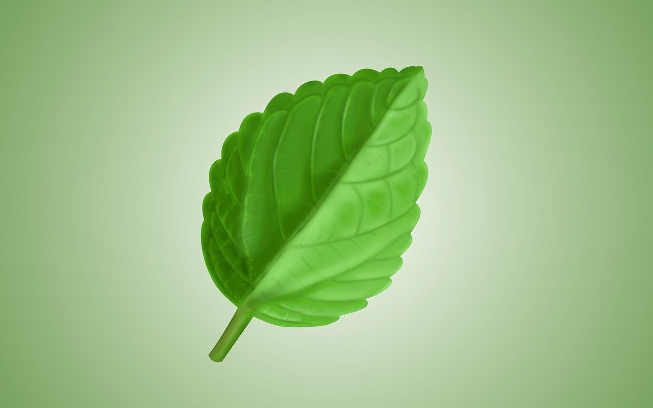 Mobilier écologique : une sélection durable pour votre intérieur