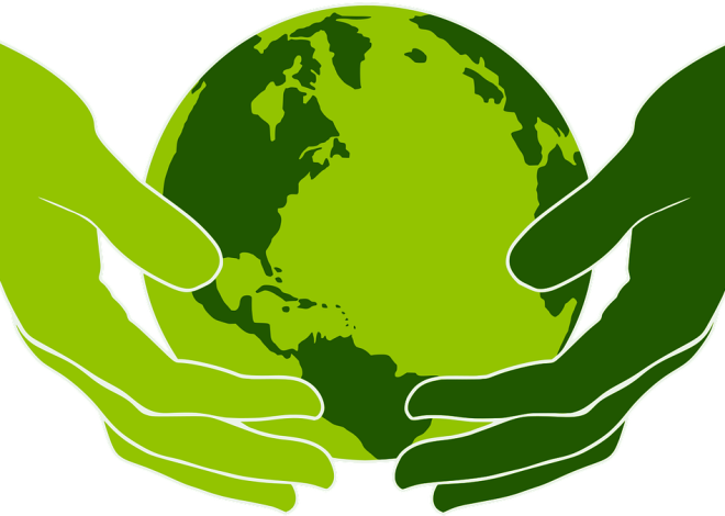 Protection des terres : enjeux et stratégies pour préserver nos ressources naturelles